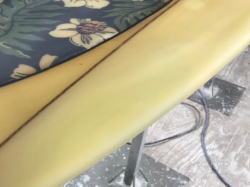 �I�[�o�[�z�[�� RobertAugust 24_23